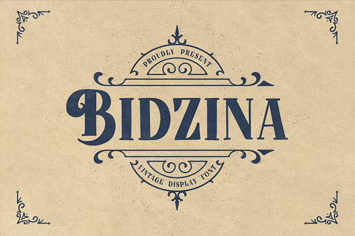 Bidzina