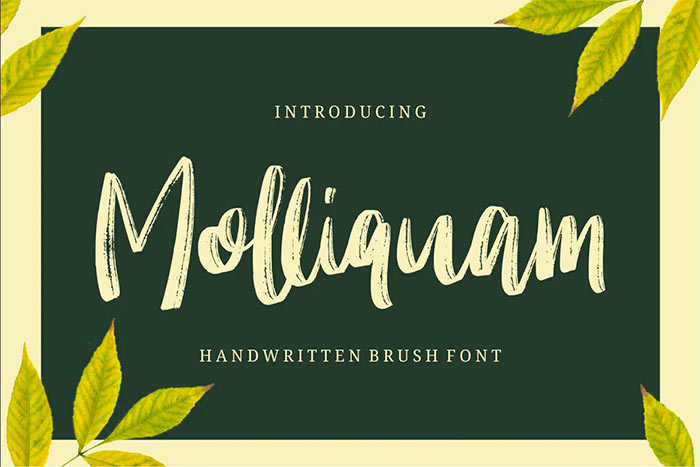 Molliquam best brush stroke fonts