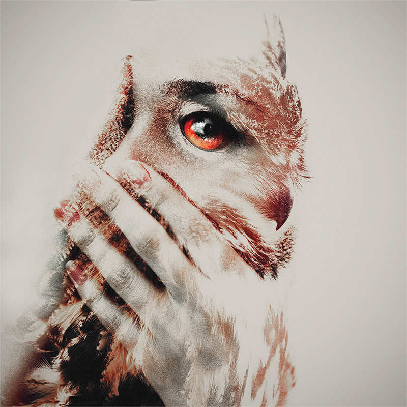 Double Exposure Effect Inspiration